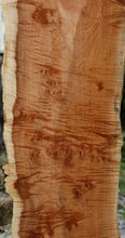 Load image into Gallery viewer, Quilted Exhibition Grade Coral Maple Slab
