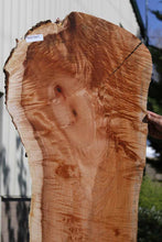 Load image into Gallery viewer, Quilted Exhibition Grade Coral Maple Slab
