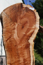 Load image into Gallery viewer, Quilted Exhibition Grade Coral Maple Slab
