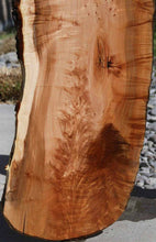 Load image into Gallery viewer, Profiled Cluster Burl Coral Maple Slab

