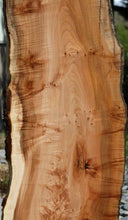 Load image into Gallery viewer, Profiled Cluster Burl Coral Maple Slab

