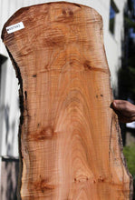 Load image into Gallery viewer, Profiled Cluster Burl Coral Maple Slab
