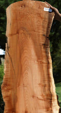 Load image into Gallery viewer, Profiled Cluster Burl Coral Maple Slab
