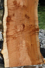 Load image into Gallery viewer, Profiled Cluster Burl Coral Maple Slab
