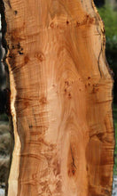 Load image into Gallery viewer, Profiled Cluster Burl Coral Maple Slab
