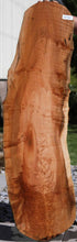 Load image into Gallery viewer, Profiled Cluster Burl Coral Maple Slab

