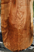 Load image into Gallery viewer, Profiled Cluster Burl Coral Maple Slab
