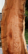 Load image into Gallery viewer, Profiled Cluster Burl Coral Maple Slab
