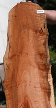 Load image into Gallery viewer, Profiled Cluster Burl Coral Maple Slab
