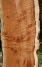 Load image into Gallery viewer, Quilted Exhibition Grade Coral Maple Slab
