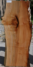 Load image into Gallery viewer, Western Maple Cluster Burl Slab
