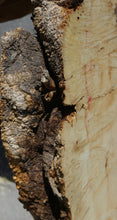 Load image into Gallery viewer, Box Elder Slab
