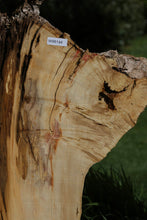 Load image into Gallery viewer, Box Elder Slab
