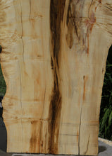 Load image into Gallery viewer, Box Elder Slab

