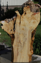 Load image into Gallery viewer, Box Elder Slab
