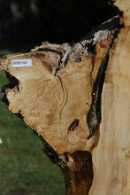 Load image into Gallery viewer, Box Elder Slab
