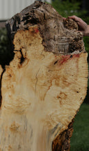 Load image into Gallery viewer, Box Elder Slab
