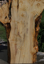 Load image into Gallery viewer, Box Elder Slab
