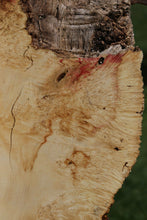 Load image into Gallery viewer, Box Elder Slab
