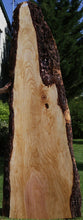 Load image into Gallery viewer, Sitka Spruce Slab
