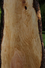 Load image into Gallery viewer, Sitka Spruce Slab
