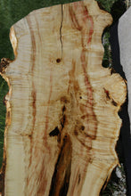 Load image into Gallery viewer, Box Elder Slab
