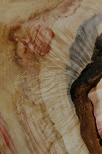 Load image into Gallery viewer, Box Elder Slab
