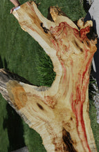 Load image into Gallery viewer, Box Elder Slab
