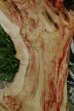 Load image into Gallery viewer, Box Elder Slab
