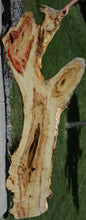Load image into Gallery viewer, Box Elder Slab
