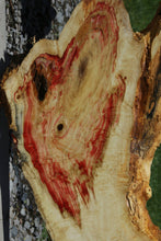 Load image into Gallery viewer, Box Elder Slab
