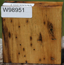 Load image into Gallery viewer, Wormy Black and White Ebony Bowl Blank

