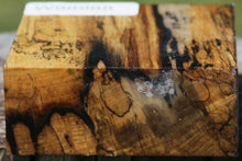 Load image into Gallery viewer, Wormy Black and White Ebony Bowl Blank
