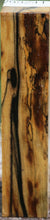 Load image into Gallery viewer, Black and White Ebony Turning Square
