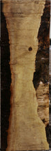 Load image into Gallery viewer, XF Figured Bastogne Walnut Live Edge Lumber

