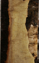 Load image into Gallery viewer, XF Figured Bastogne Walnut Live Edge Lumber
