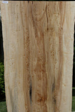Load image into Gallery viewer, Semi Rustic Birdseye Figured Black Cottonwood Slab
