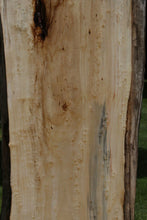 Load image into Gallery viewer, Semi Rustic Birdseye Figured Black Cottonwood Slab

