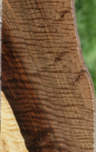 Load image into Gallery viewer, Exhibition Grade Bastogne Walnut Guitar Billet
