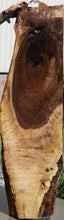 Load image into Gallery viewer, Rustic Bastogne Walnut Slab

