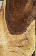 Load image into Gallery viewer, Rustic Bastogne Walnut Slab
