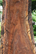 Load image into Gallery viewer, Rustic Claro Walnut Slab
