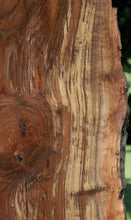 Load image into Gallery viewer, Claro Walnut Slab
