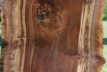 Load image into Gallery viewer, Claro Walnut Slab
