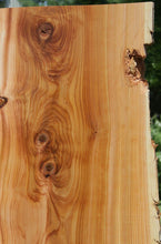 Load image into Gallery viewer, Red Cedar Slab
