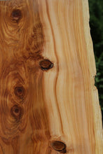 Load image into Gallery viewer, Red Cedar Slab
