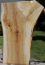 Load image into Gallery viewer, Tulip Poplar Crotch Figure Slab
