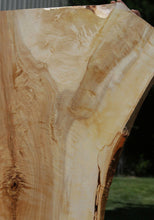 Load image into Gallery viewer, Tulip Poplar Crotch Figure Slab
