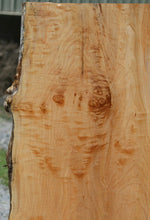 Load image into Gallery viewer, Figured Maple Slab
