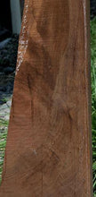 Load image into Gallery viewer, Feather Crotchwood Figure Claro Walnut Mannlicher
